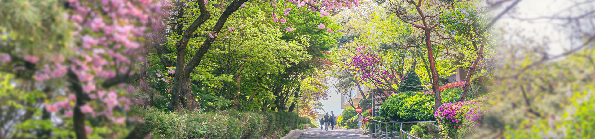한국어교육전공 MAINVISUAL